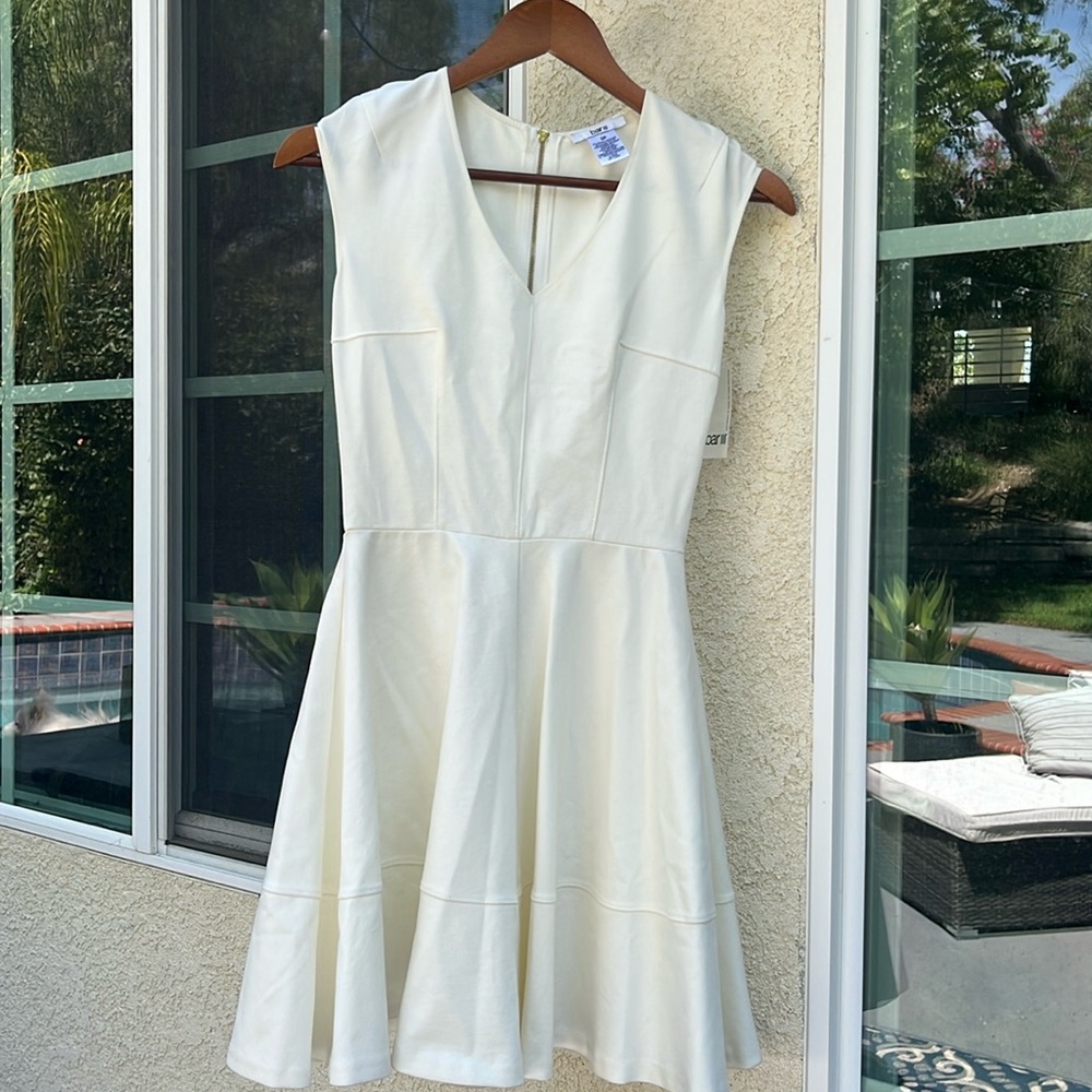 Bar lll s/p Essential white Dress.